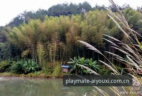 老玩家亲述：品牌态度呼应区间注册频道这潭水，我替你们蹚过了